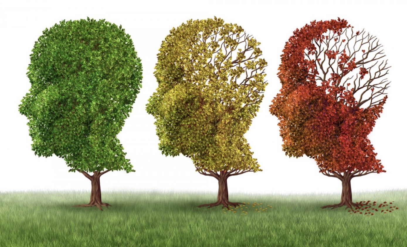 Her Unutkanlık Alzheimer Değildir — Ama Bu Belirtiler Varsa Doktora Gidin